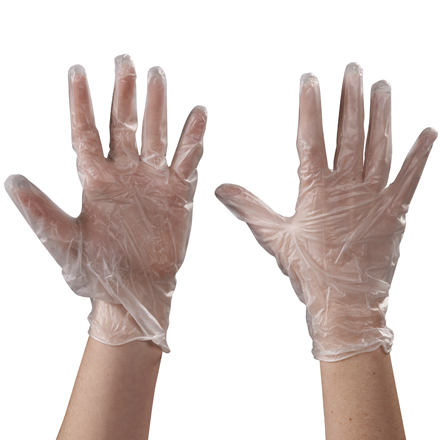 Vinyl Gloves Clear - 5 Mil - Powder Free - Large